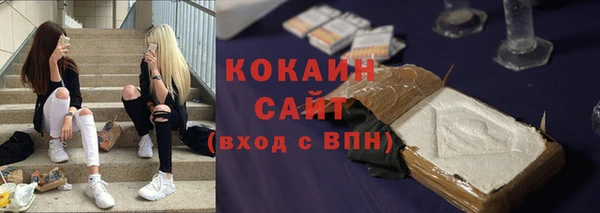 трава Белокуриха