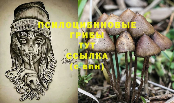 шишки Беломорск