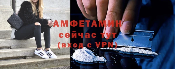 шишки Беломорск