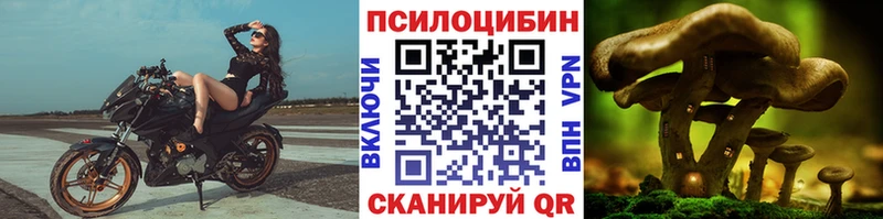 Псилоцибиновые грибы ЛСД Нестеровская